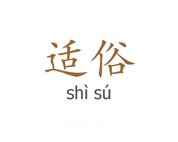 适俗