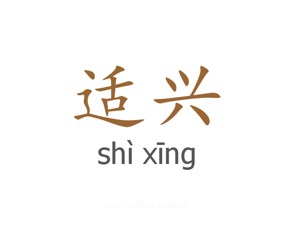 适兴