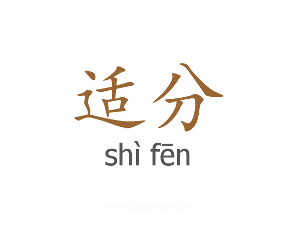 适分