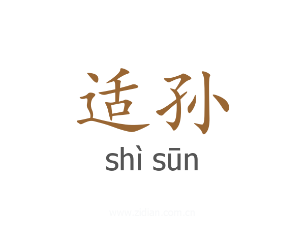 适孙