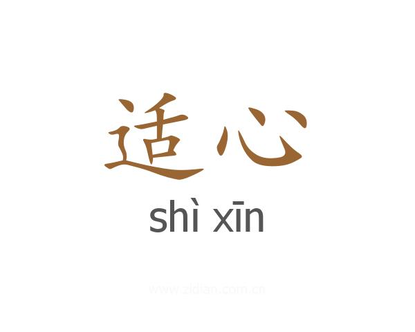 适心