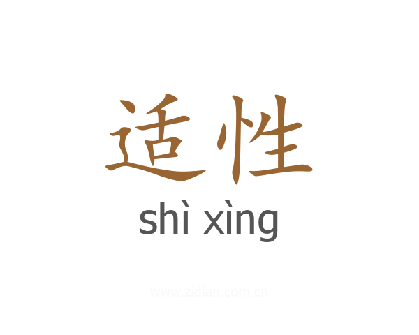 适性