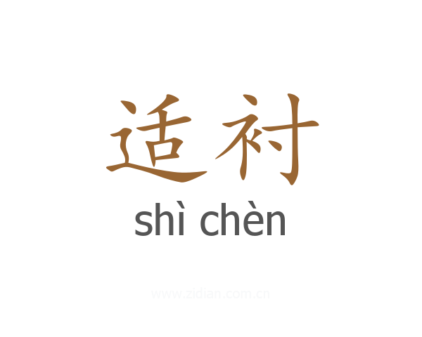 适衬
