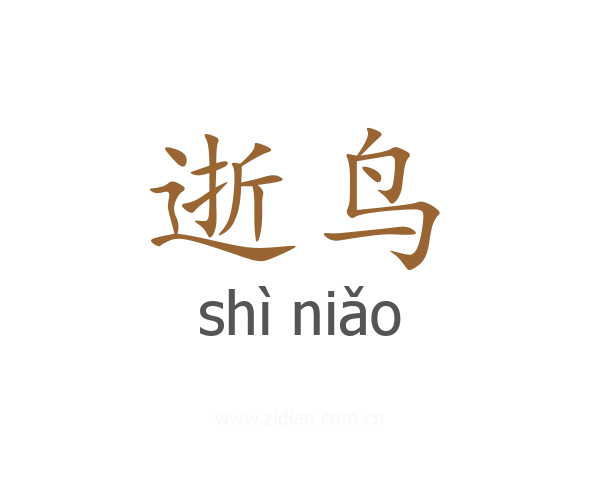逝鸟