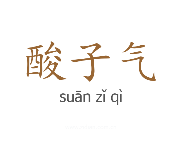 酸子气