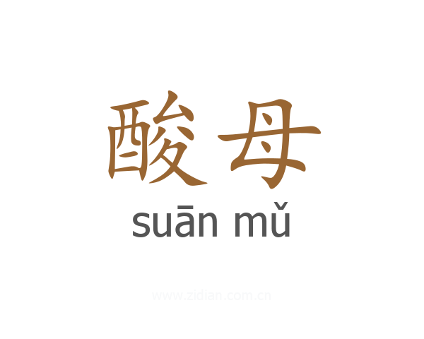 酸母