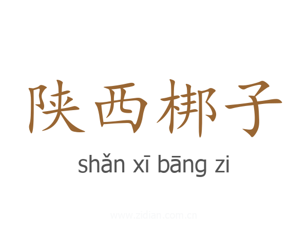 陕西梆子