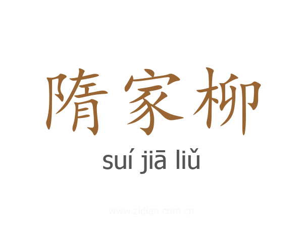 隋家柳