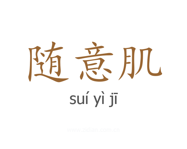 随意肌