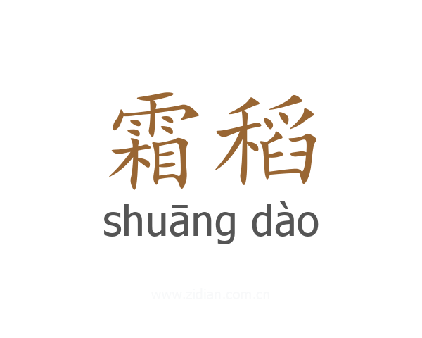 霜稻