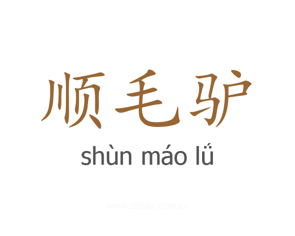 顺毛驴