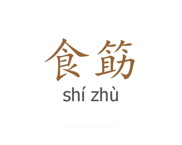 食筯