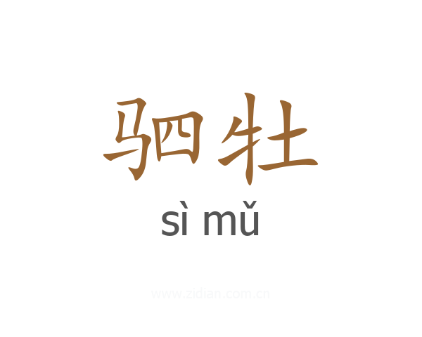 驷牡