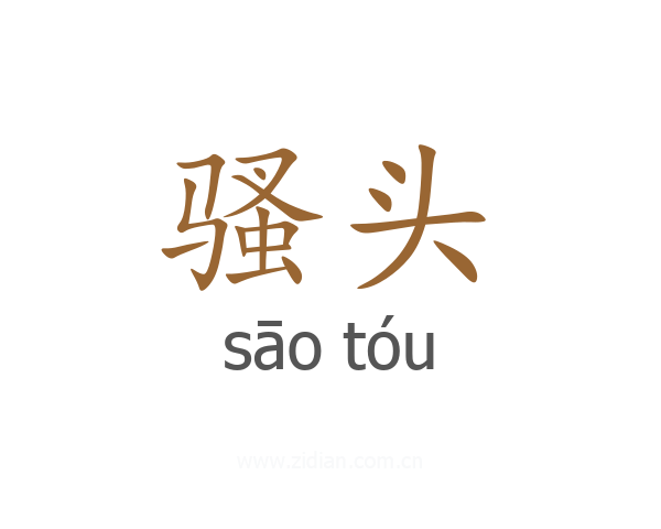 骚头