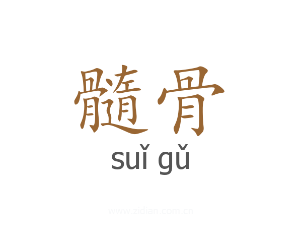 髓骨