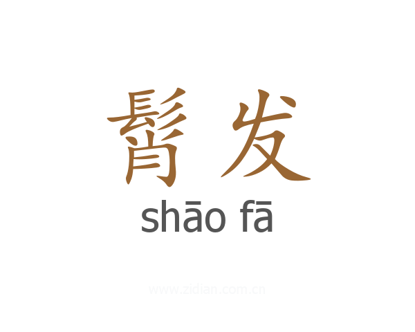 髾发