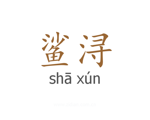 鲨浔