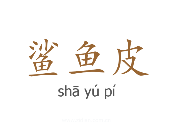 鲨鱼皮