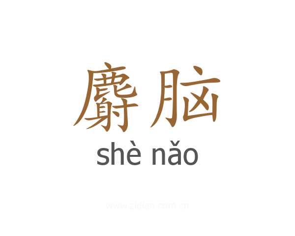 麝脑
