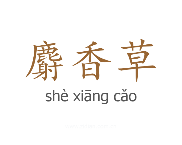 麝香草