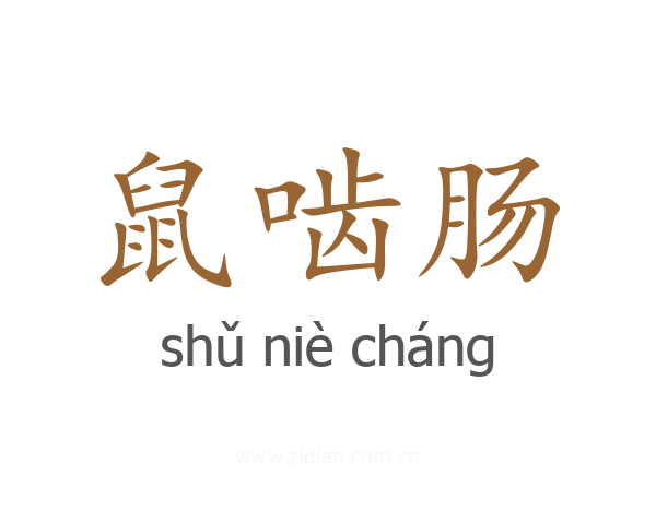 鼠啮肠