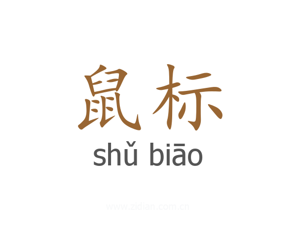 鼠标