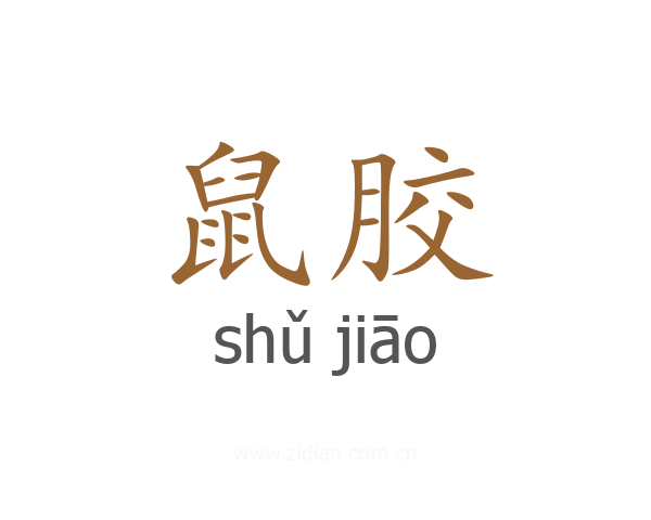 鼠胶