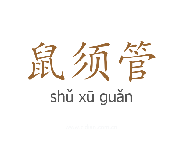 鼠须管