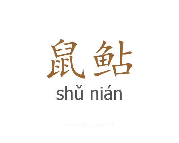 鼠鲇