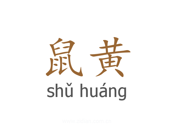 鼠黄