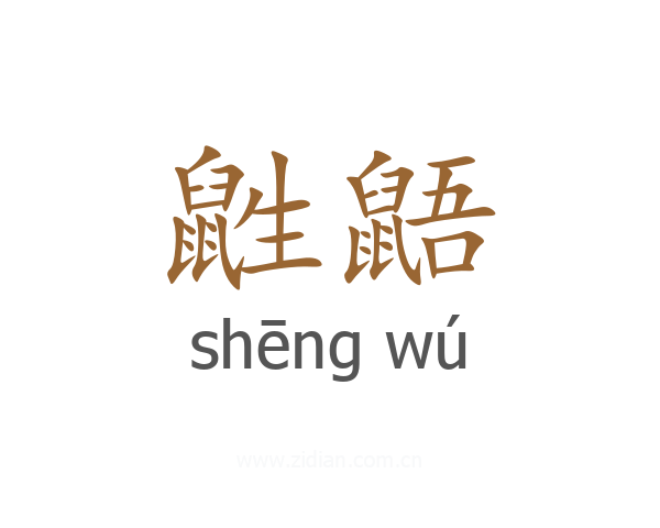 鼪鼯