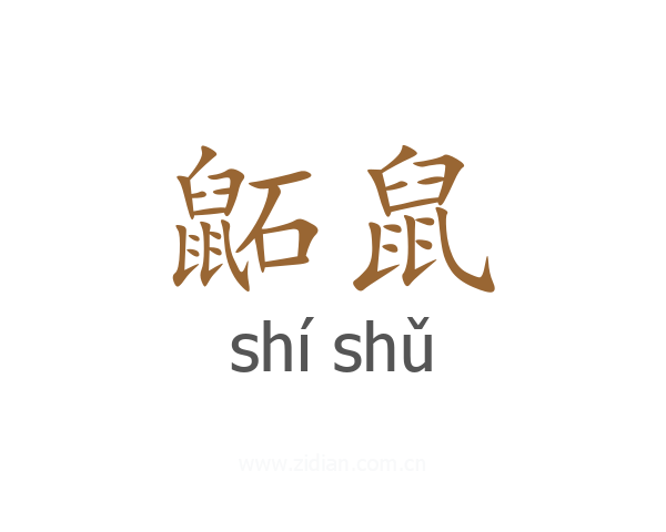 鼫鼠