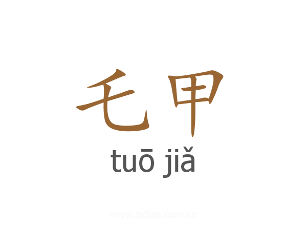 乇甲