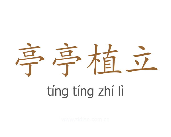 亭亭植立