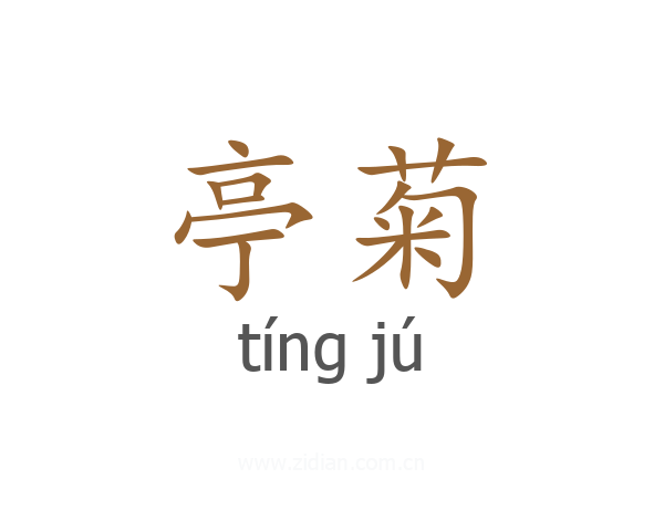 亭菊