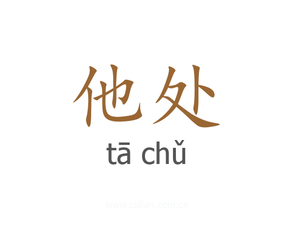 他处
