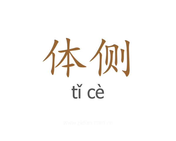 体侧