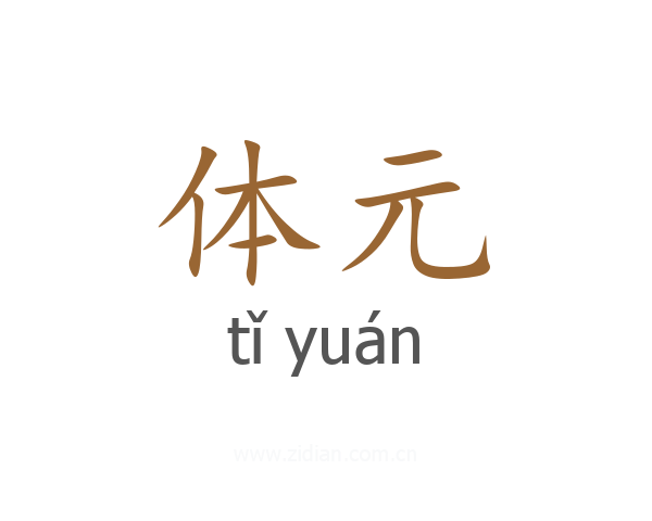 体元