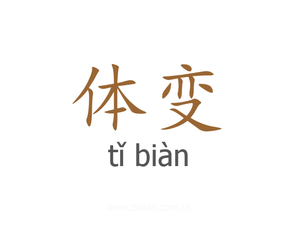 体变