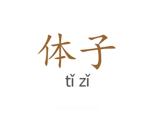 体子