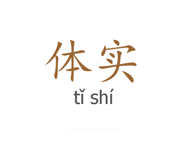 体实