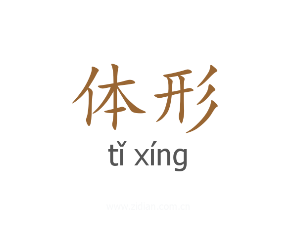 体形