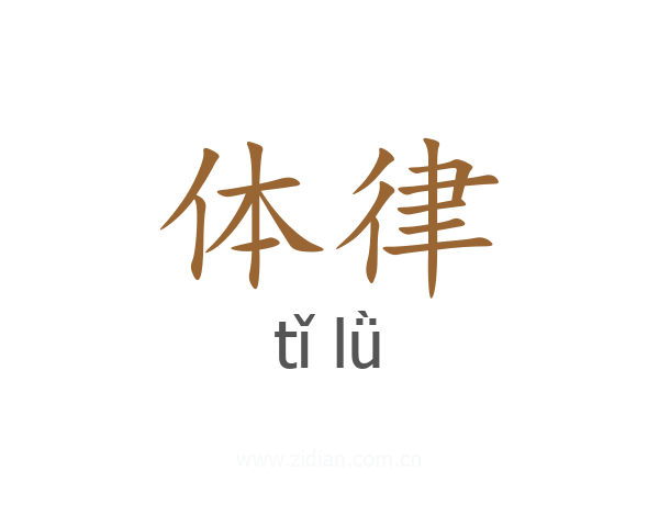 体律