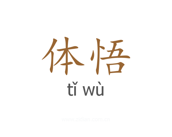 体悟