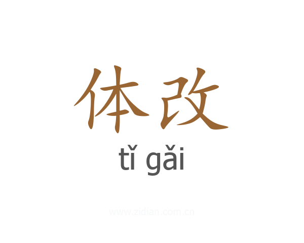 体改