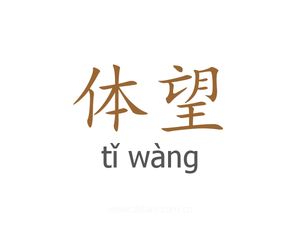 体望