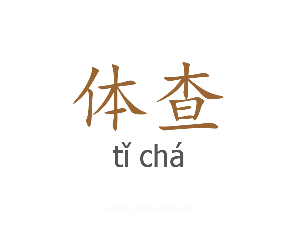 体查