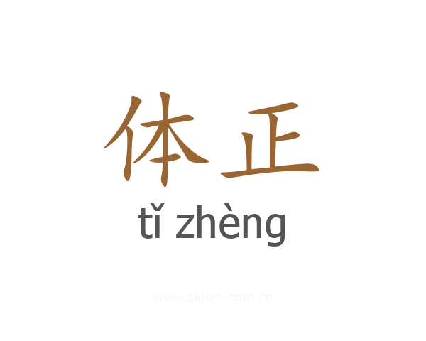 体正