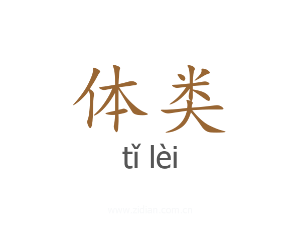体类