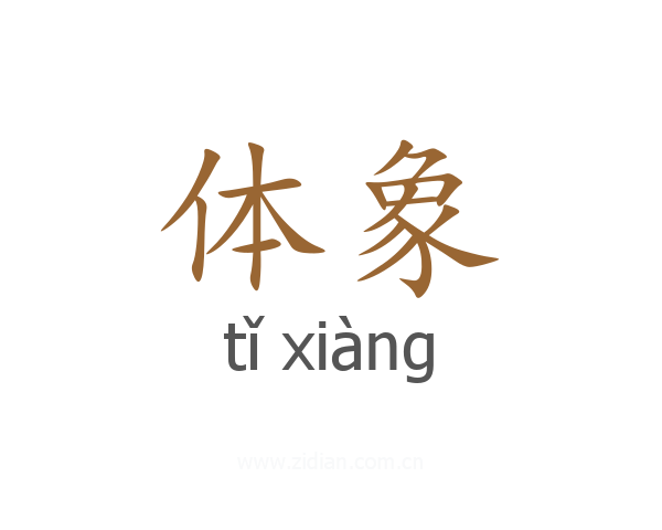 体象